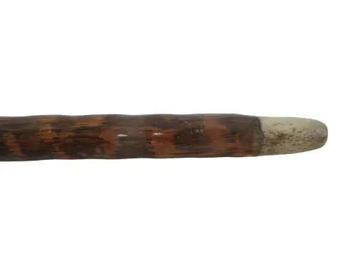 Carved Deer Stag Antler Snuff Box Walking Stick Cane With Hidden Corkscrew, photo 8 of 10