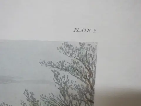 Henry Alken Fores Hunting Sketches Plate 2 Right & Wrong Sort Harris Engraving, photo 9 of 12
