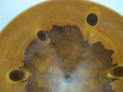 Jess Craig Turned Norfolk Island Pine Wood Studio Hawaii Art Bowl, photo 7 of 12