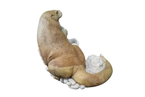 Kevin Peters "Get Your Own Starfish" Brazilian Soapstone Sea Otter Sculpture, photo 6 of 12