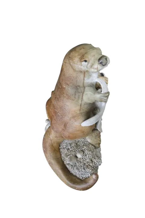 Kevin Peters "Get Your Own Starfish" Brazilian Soapstone Sea Otter Sculpture, photo 7 of 12