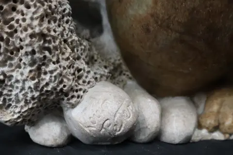 Kevin Peters "Get Your Own Starfish" Brazilian Soapstone Sea Otter Sculpture, photo 10 of 12