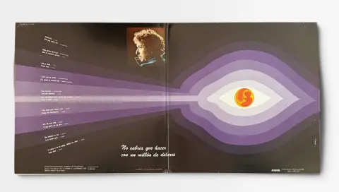 Nice Bob Dylan Grabado En Directo (Before the Flood) Live Bootleg 2x Vinyl Record, photo 3 of 7