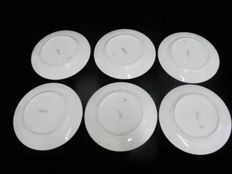 Royal Doulton Ito Smooth E2929 Exotic Song Bird 8" Salad Plate Set of 6, photo 10 of 10