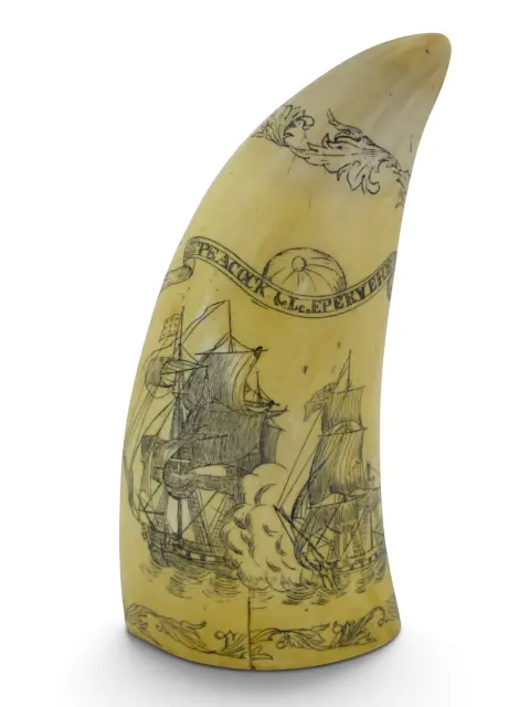 Save the Whale Polymer Faux Scrimshaw Reproduction Peacock Epervier Artek Tooth, photo 5 of 12