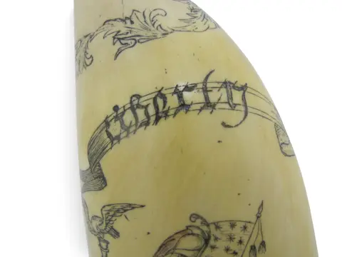Save the Whale Polymer Faux Scrimshaw Reproduction Peacock Epervier Artek Tooth, photo 8 of 12
