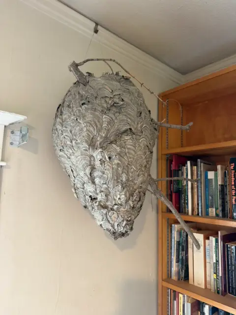 Photo from Adventurer's Sellwood Sale