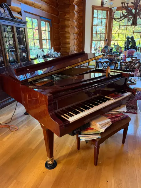 Photo from A collector and decorator dream sale
