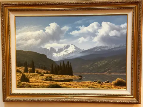 Photo from A collector and decorator dream sale