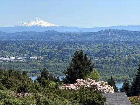 Photo from Hillsdale Home with a View Estate Sale