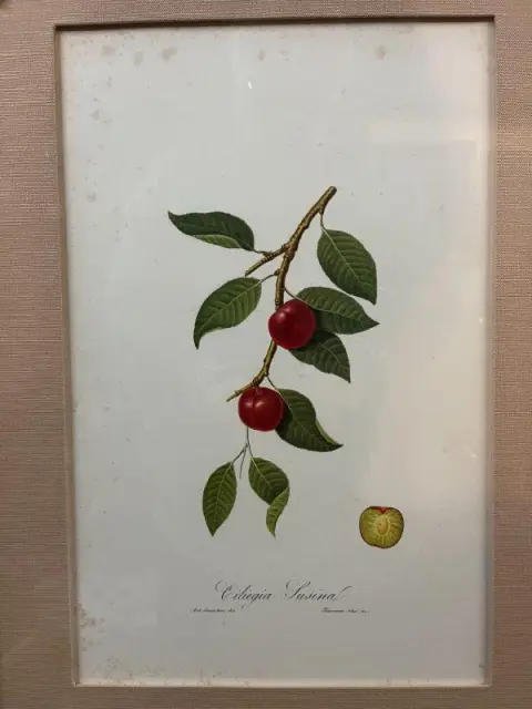 Photo from Military Collectibles Estate Collection